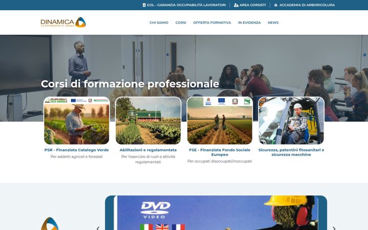 Screenshot of dinamica-fp.com