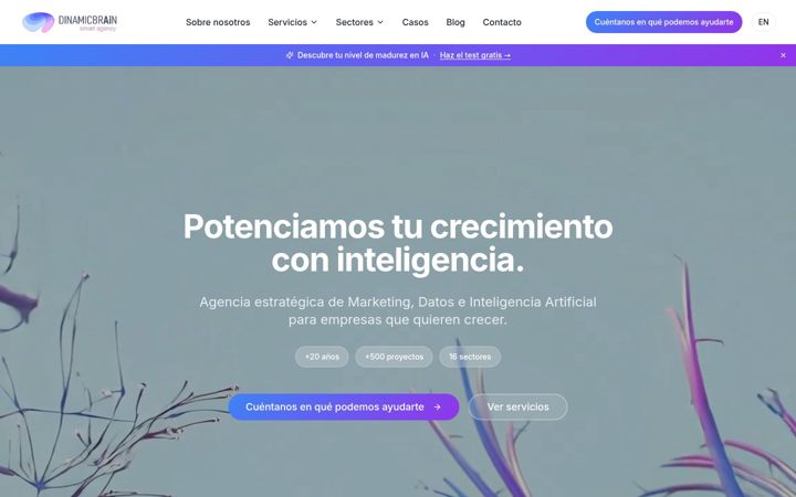 Screenshot of dinamicbrain.com