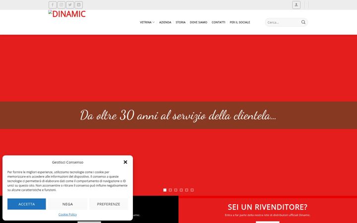 Captură de ecran a dinamicitaliastore.it