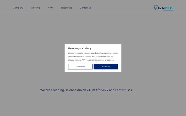 Screenshot of dinamiqs.com