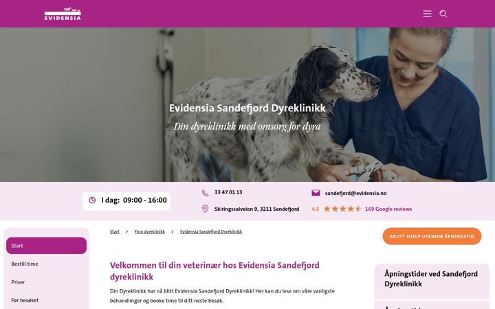 Screenshot ta' dindyreklinikk.no