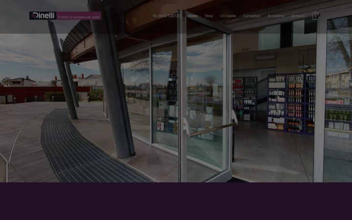 Screenshot of dinellionline.it