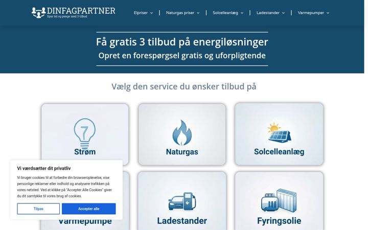 Screenshot stránky dinfagpartner.dk