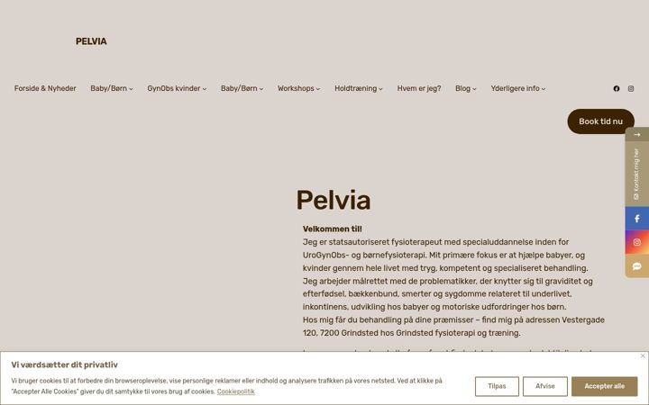Screenshot of dinfamiliefysioterapeut.dk