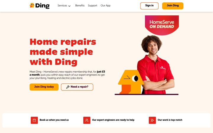 Zrzut ekranu ding.co.uk