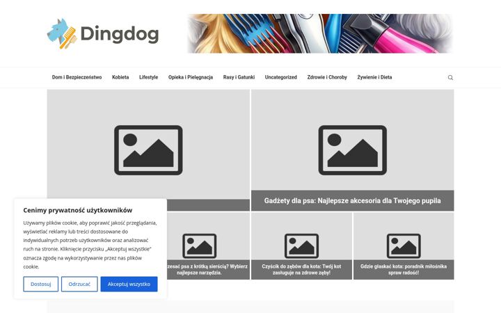 Screenshot stránky dingdog.pl