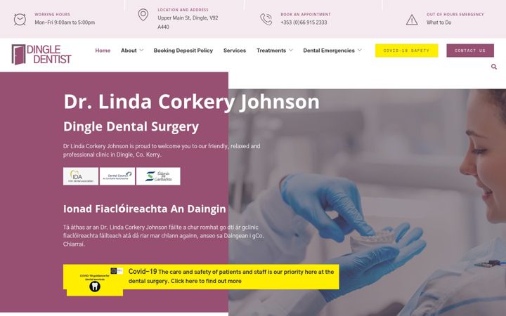 Screenshot ta' dingledentist.ie