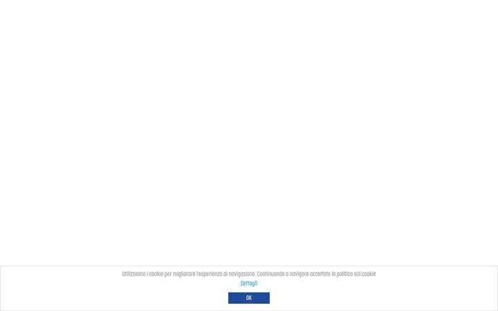 Screenshot of dingosolutions.it