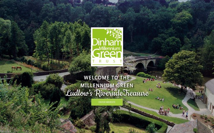 Screenshot von dinhammillenniumgreentrust.co.uk