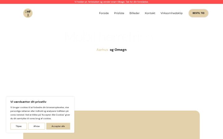 Screenshot of dinhjemmefrisor.dk
