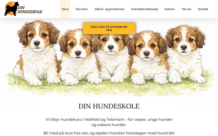 Screenshot ta' dinhundeskole.no