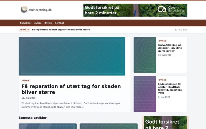 Captura de pantalla de dinindretning.dk