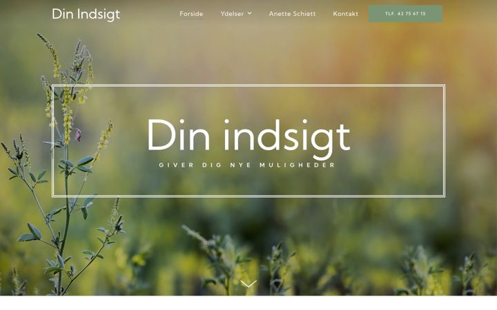 Captura de pantalla de dinindsigt.dk