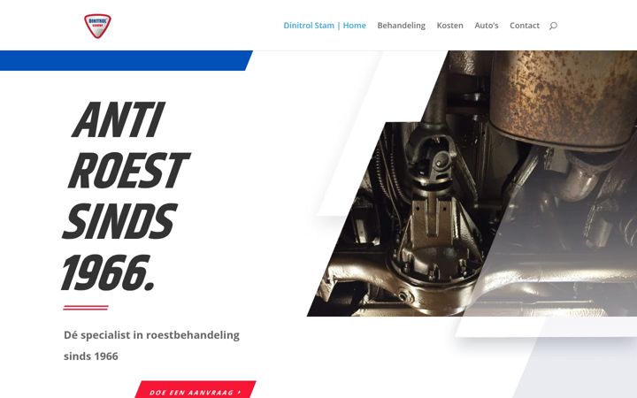 Screenshot stránky dinitrolstam.nl