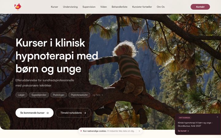 Screenshot of dinmagiskehjerne.dk