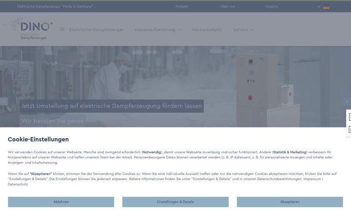Screenshot of dino-dampf.com