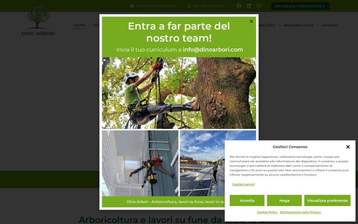 Screenshot of dinoarbori.com