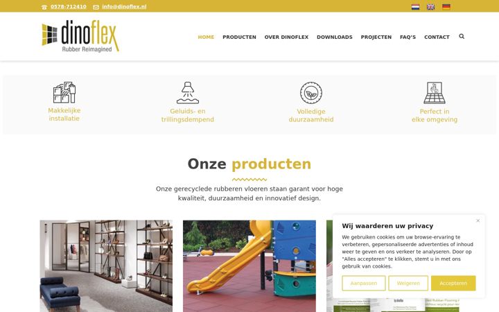 Screenshot stránky dinoflex.nl