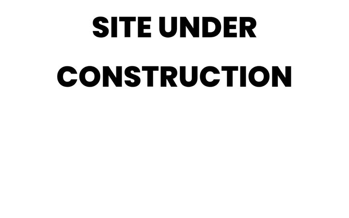 Screenshot of dinoonboard.com