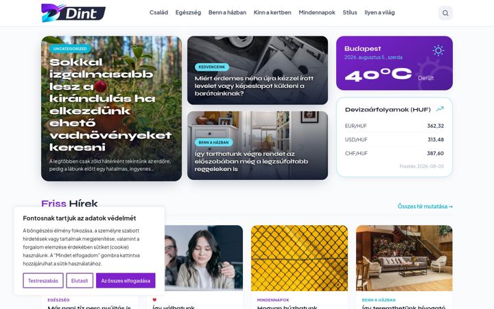 Screenshot of dint.hu