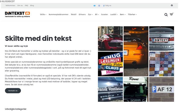 Screenshot of dintekst.dk