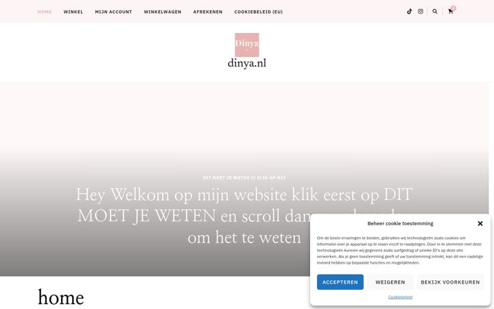 Zrzut ekranu dinya.nl