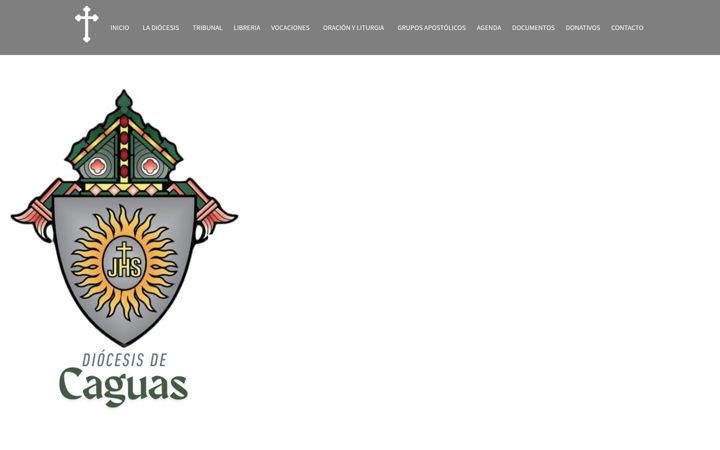 Screenshot of diocesisdecaguas.org