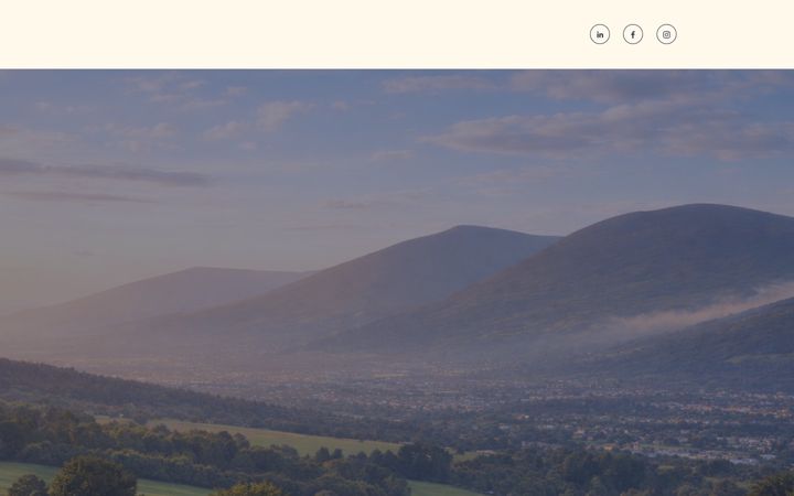 Screenshot ta' dioltaestateagency.ie