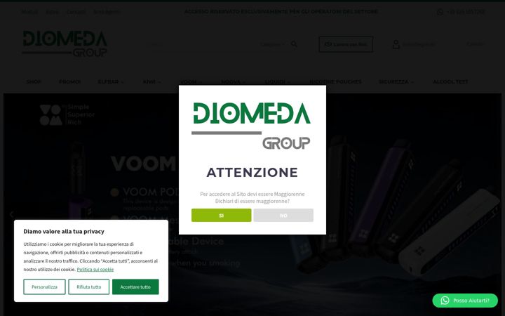 Screenshot of diomedagroup.it