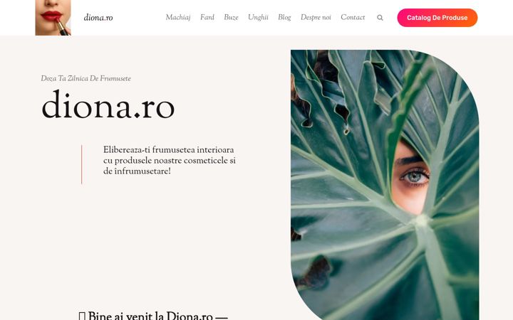 Képernyőkép: diona.ro