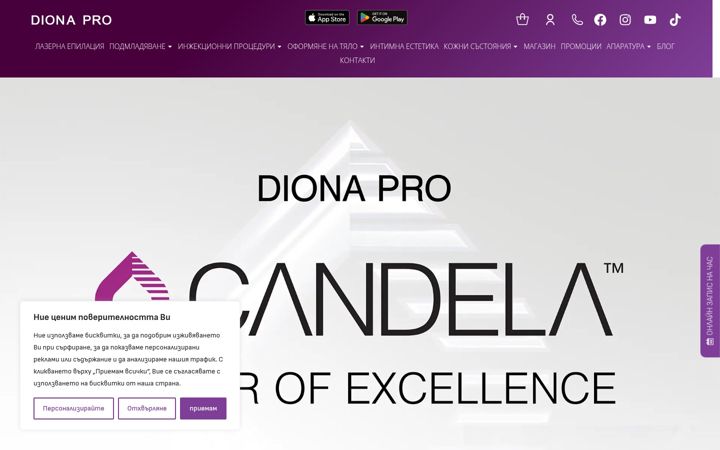 Screenshot of dionapro.com