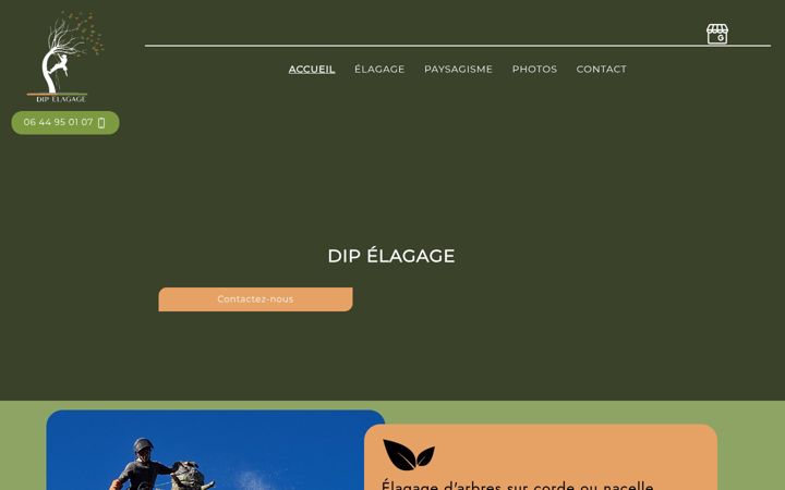Captura de pantalla de dipn-elagage.fr
