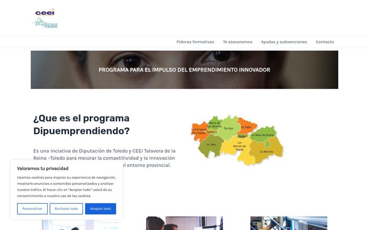 Ekraanipilt saidist dipuemprendiendo.es