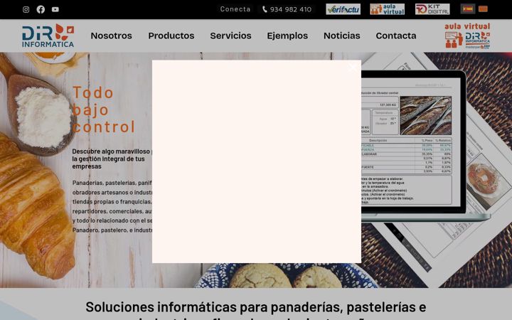 Screenshot of dir-informatica.com