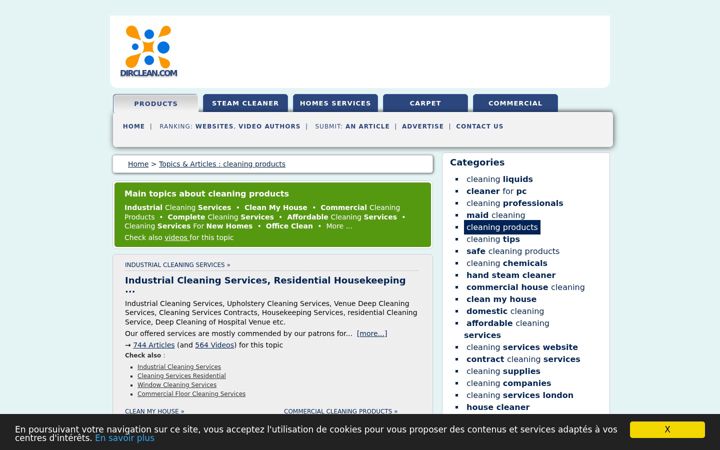 Screenshot of dirclean.com