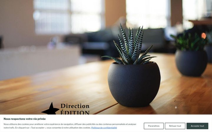 Screenshot του directionedition.ca