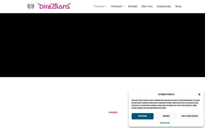 Screenshot του directionshair.de