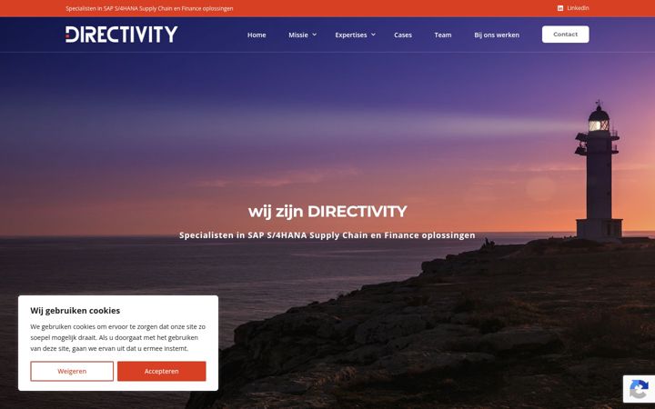 Zrzut ekranu directivity.nl