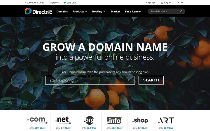 Skärmbild av directnic.com