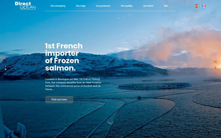 Screenshot of directocean.com
