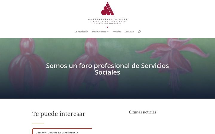 Screenshot of directoressociales.com