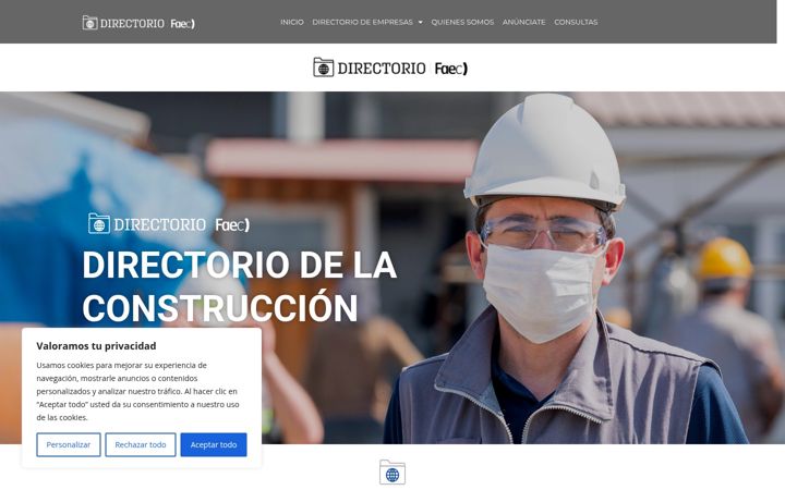Screenshot of directoriofaec.com