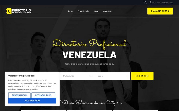 Screenshot of directorioprofesionalvenezuela.com