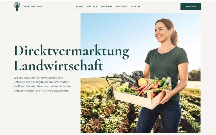Screenshot of direkt-mit-links.de