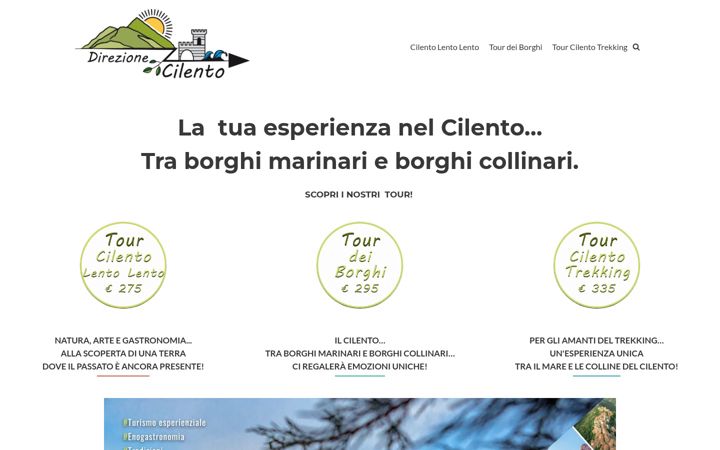 Screenshot of direzionecilento.it