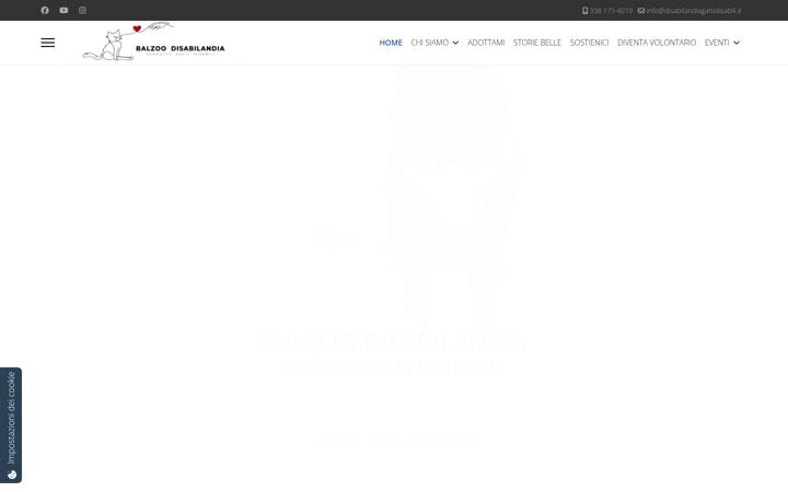 Screenshot of disabilandiagattidisabili.it