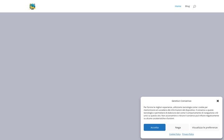 Screenshot of disagiatiinviaggio.it