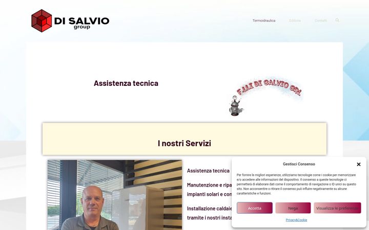 Skjámynd af disalvio.net