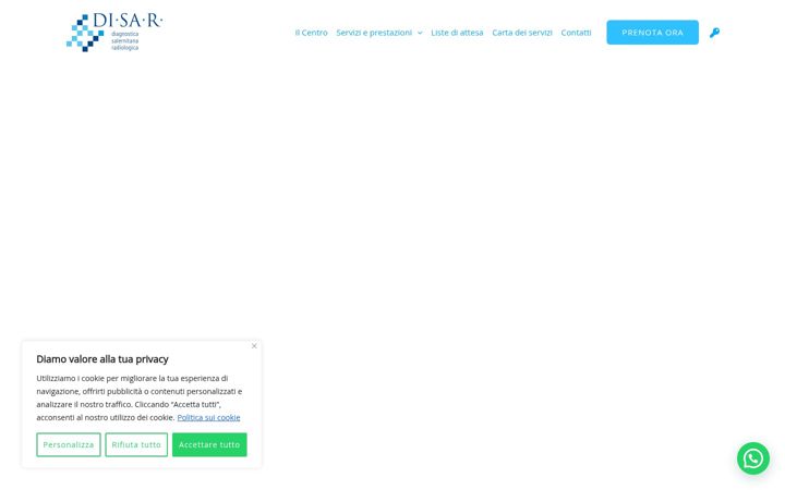 Screenshot of disarsrl.com