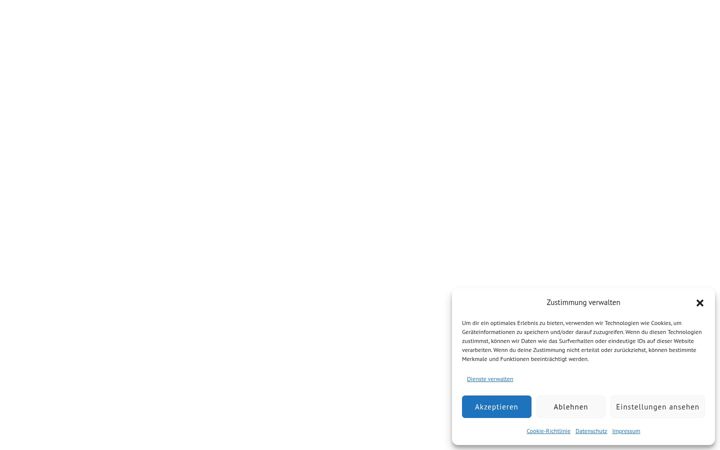 Screenshot of disbro.de